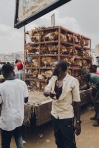 Evaluación de bienes raíces residenciales